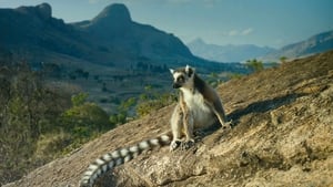 Island of Lemurs: Madagascar