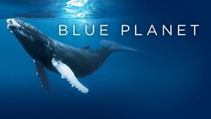 The Blue Planet