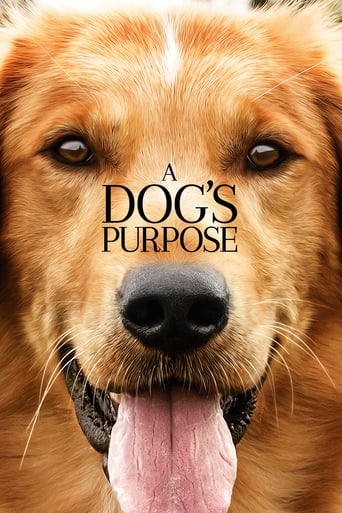 دانلود فیلم A Dog's Purpose 2017 (هدف یک سگ)