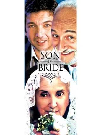 دانلود فیلم Son of the Bride 2001