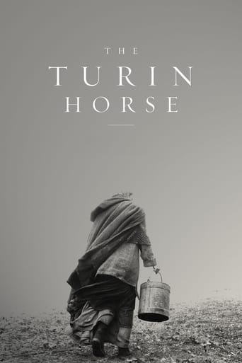 دانلود فیلم The Turin Horse 2011 (اسبی از تورین)