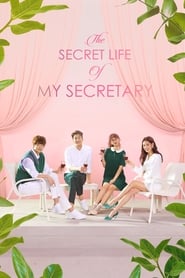 دانلود سریال The Secret Life of My Secretary 2019 (زندگی اسرارآمیز منشی من)
