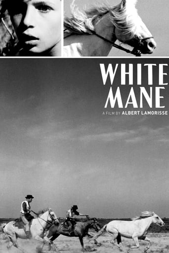 White Mane 1953