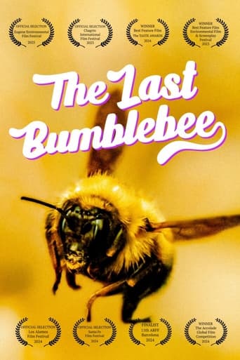 دانلود فیلم The Last Bumblebee 2024