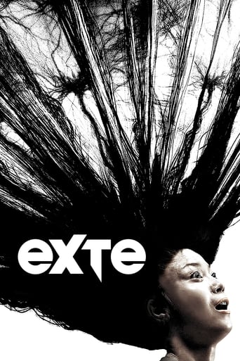 Exte: Hair Extensions 2007