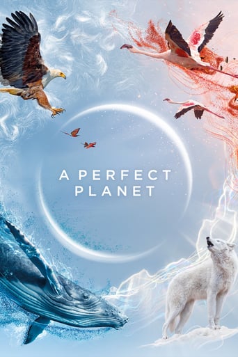 دانلود سریال A Perfect Planet 2021 (یک سیاره بی نقص)