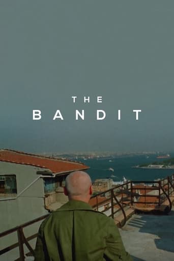 The Bandit 1996