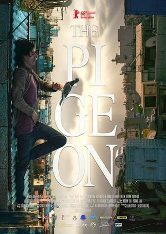 The Pigeon 2018