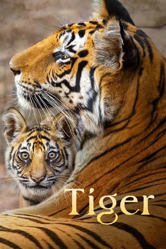 دانلود فیلم Tiger 2024