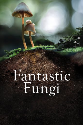 دانلود فیلم Fantastic Fungi 2019 (قارچ فوق العاده)