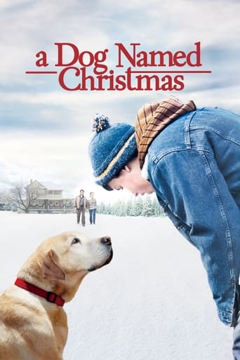 دانلود فیلم A Dog Named Christmas 2009