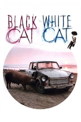 دانلود فیلم Black Cat, White Cat 1998 (گربه سیاه, گربه سفید)