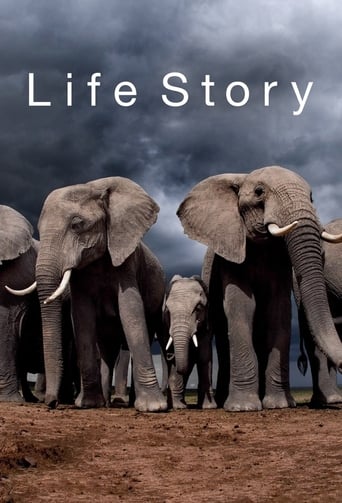 دانلود سریال Life Story 2014 (داستان زندگی)