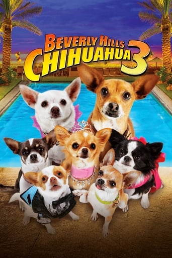 دانلود فیلم Beverly Hills Chihuahua 3: Viva la Fiesta! 2012