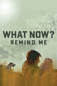 What Now? Remind Me 2013