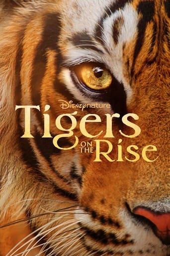 دانلود فیلم Tigers on the Rise 2024