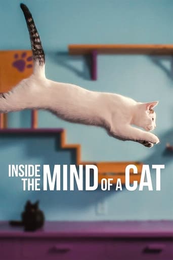 دانلود فیلم Inside the Mind of a Cat 2022 (درون ذهن یک گربه)