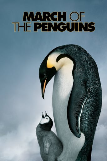 دانلود فیلم March of the Penguins 2005 (رژه‌ی پنگوئن‌ها)