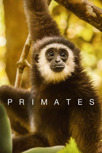 دانلود سریال Primates 2020 (نخستی ها)