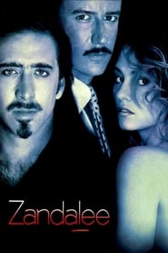 دانلود فیلم Zandalee 1991