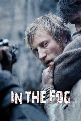دانلود فیلم In the Fog 2012 (در مه)