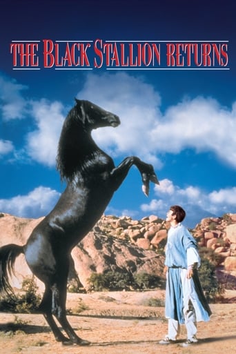 دانلود فیلم The Black Stallion Returns 1983