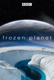 دانلود سریال Frozen Planet 2011 (سیاره یخ‌ زده)