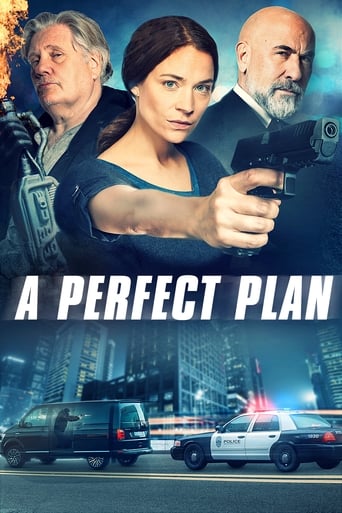 دانلود فیلم A Perfect Plan 2020 (یک برنامه ایده آل)