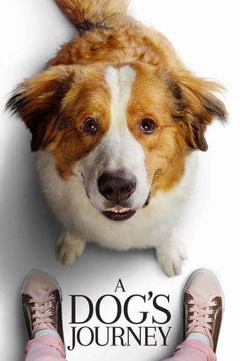 دانلود فیلم A Dog's Journey 2019 (سفر یک سگ)