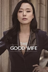 دانلود سریال The Good Wife 2016 (همسر خوب)