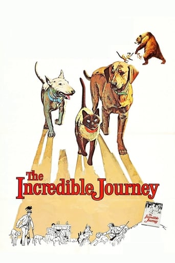 دانلود فیلم The Incredible Journey 1963