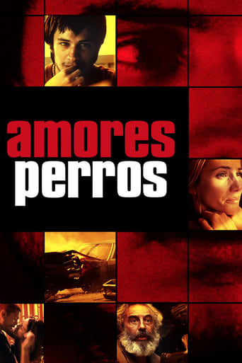 دانلود فیلم Amores Perros 2000 (عشق سگی)