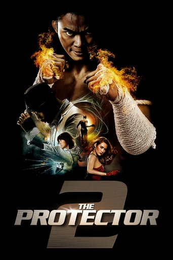 دانلود فیلم The Protector 2 2013 (حامی ۲)